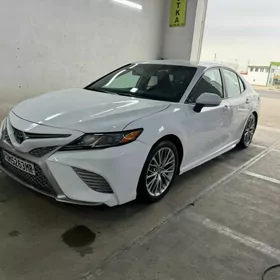 Toyota Camry 2020