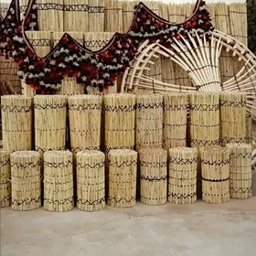 Gamyş Ak öÿ Raşotka