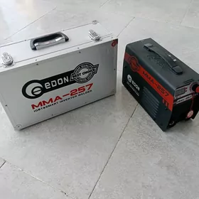 Swarka Edon MMA 257