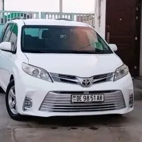 siyena сиена хызматы