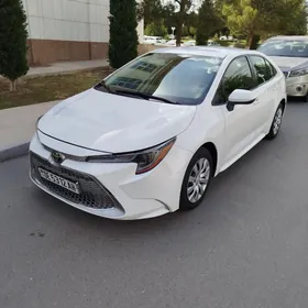 Toyota Corolla 2021