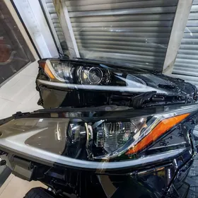lexus Fara taze