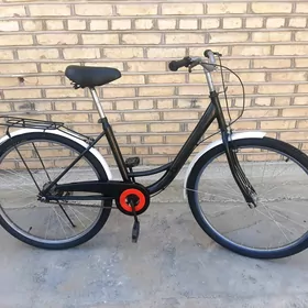 BOLD tigir 26 lyk