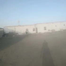 гулистанда жай сатылады