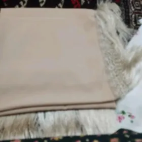 Gadym çargat