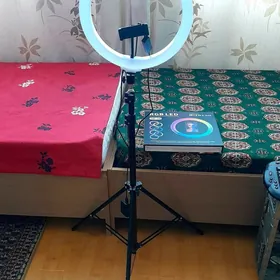 tik tok chyra taze