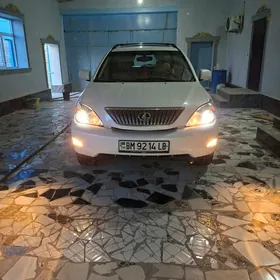 Lexus RX 330 2004