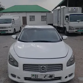 Nissan Maxima 2010