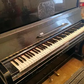 pianino