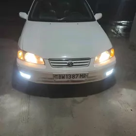 Toyota Camry 2001