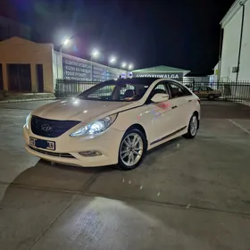 Hyundai Sonata 2010