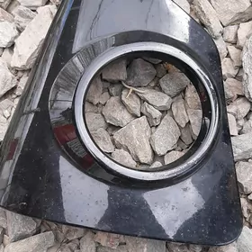 korolla tumannik dasy