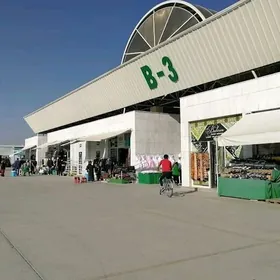 Altyn asyr gundogar bazary