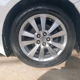 korolla arginal disk