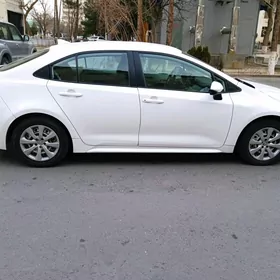 Toyota Corolla 2020