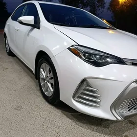 Toyota Corolla 2017
