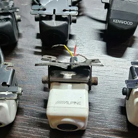 Camera 📷  Bagazda duryan