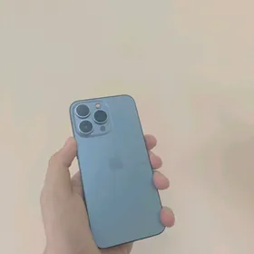 13 pro