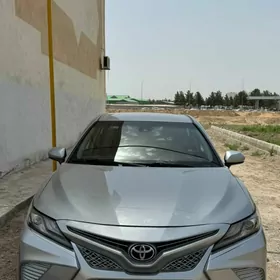 Toyota Camry 2019