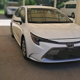 Toyota Corolla 2020