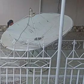 uly antenna
