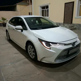 Toyota Corolla 2020