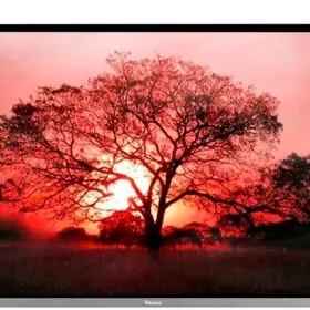 presino telewizor 32 lik