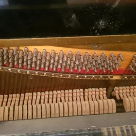pianino