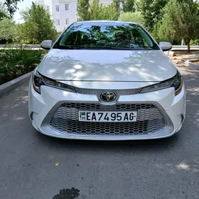 Toyota Corolla 2020