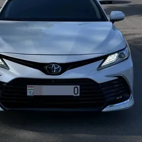 CAMRY 2021 2023 oblisowka