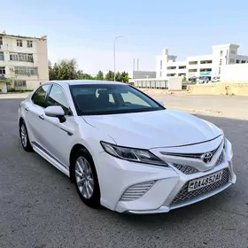 Toyota Camry 2019