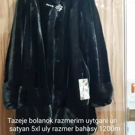 şuba