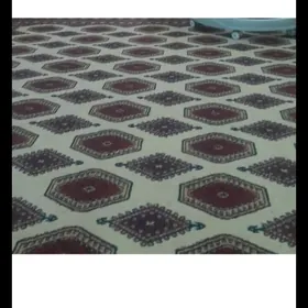 haly turk