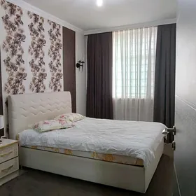 Arenda Mir5