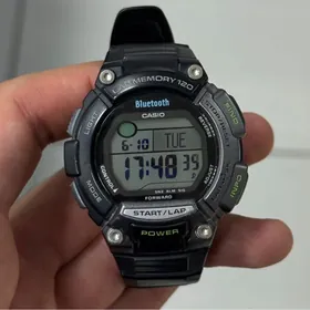 Casio sagat