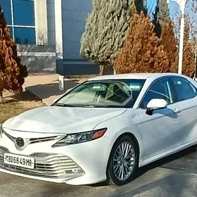 Toyota Camry 2019