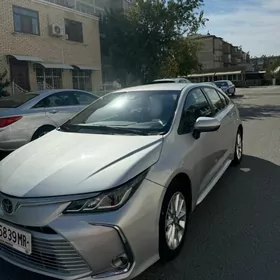 Toyota Corolla 2021