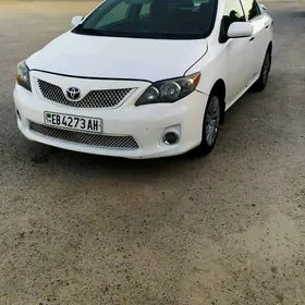 Toyota Corolla 2010