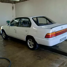 Toyota Corolla 1993