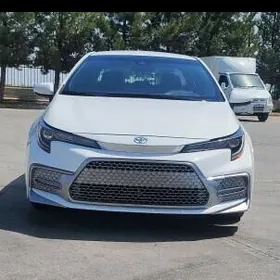 Toyota Corolla 2022