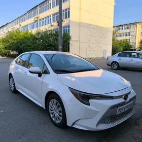 Toyota Corolla 2020