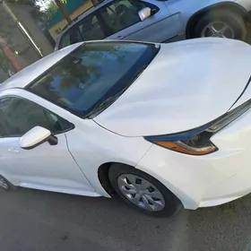 Toyota Corolla 2019