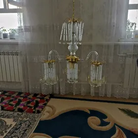 ЛЮСТРАЛАР