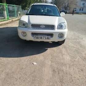 Hyundai Santa Fe 2002