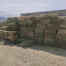 gamyşly saman