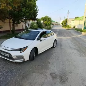 Toyota Corolla 2020