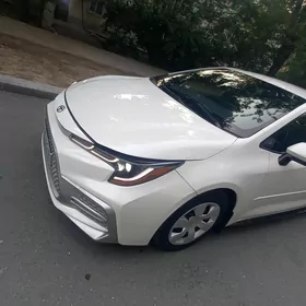 Toyota Corolla 2020