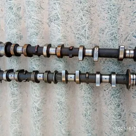 corolla rasprdval
