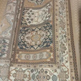 палас