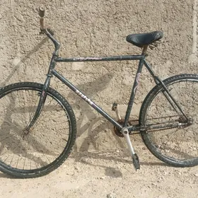 tigir 500lik